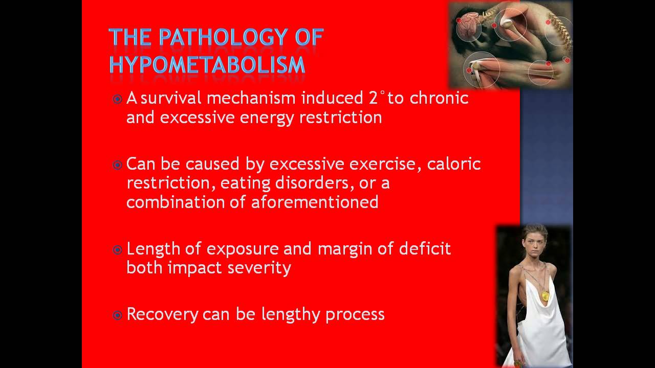 A Theoretical Discussion on Nutrition and Metabolism