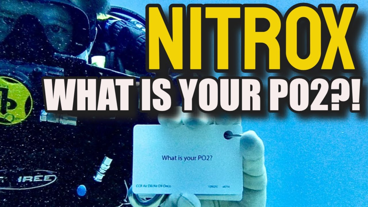 Погружение с аквалангом на обогащенном воздухе Nitrox (Что такое максимальный PO2? Как рассчитать...