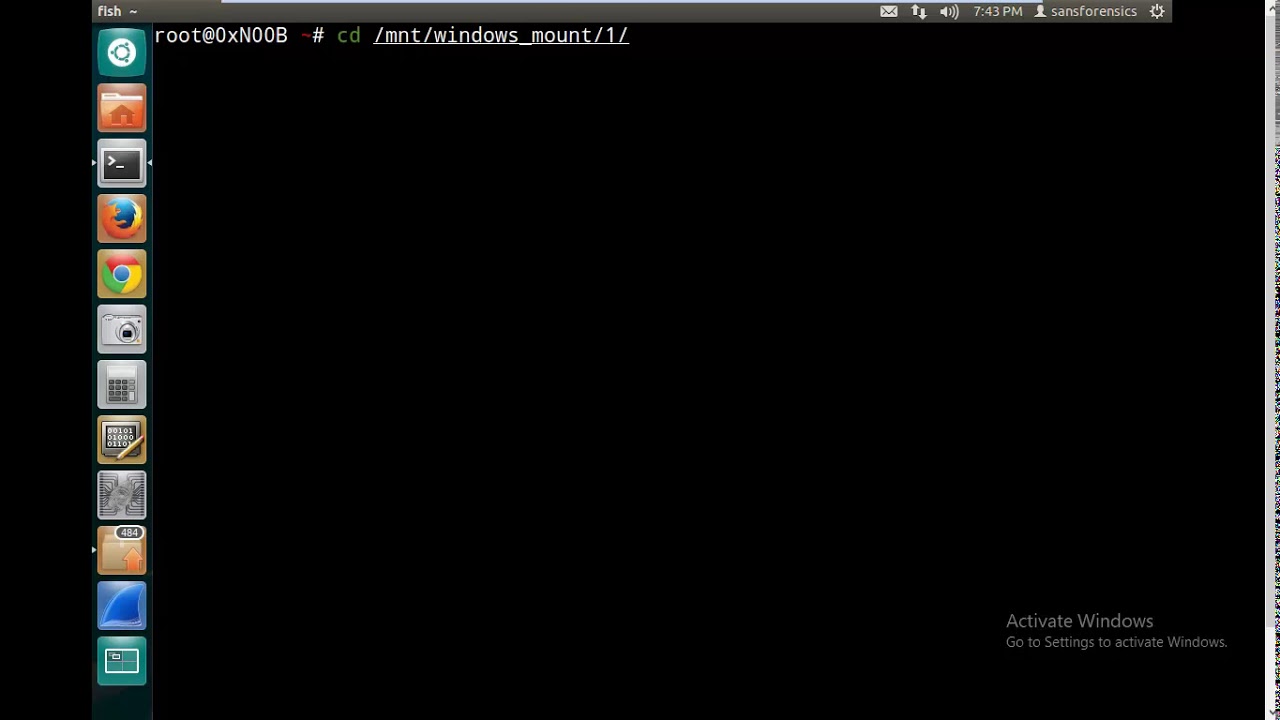 SANS SIFT - AmCache/RecentFileCache Parsing