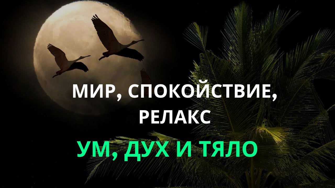 Дълбока Релаксация за Отпускане на Тялото и Ума/спокойствие/освобождаване на стрес