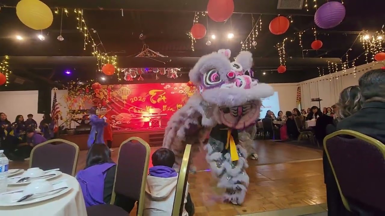 AUDIENCE POV Cộng Đồng Night Time - Lunar New Year 2025 | GQLIONDANCE | Đoàn Lân Chùa Giác Quang