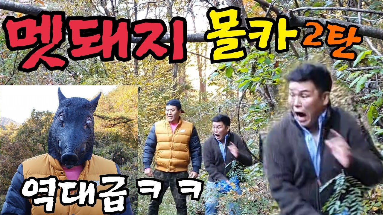 (몰카)산에 갔는데 멧돼지가 나타난다면??  멧돼지 몰카 2탄