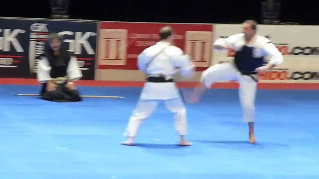 30 ème festival des arts martiaux - Shorinji Kempo