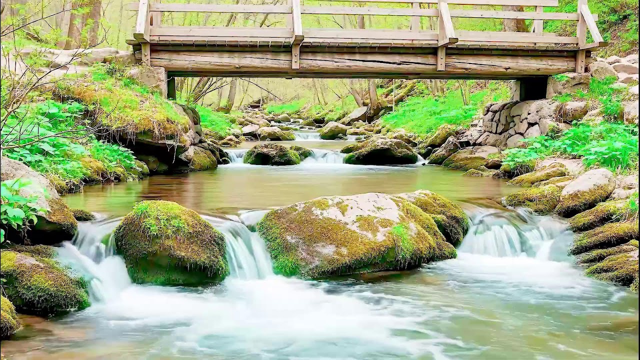 Gentle River Sound for Deep Sleep | Soothing Audio Therapy for Mental Wellness