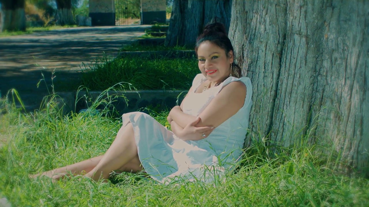 VIRGINIA APAZA_ ENTI YA NO CONFIO_  2017