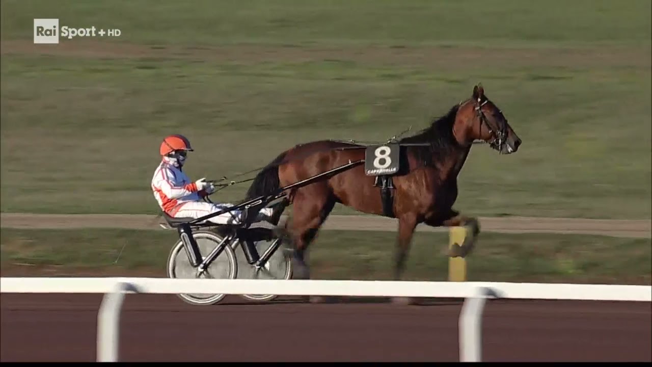 Ippodromo Capannelle Roma  - Derby Italiano trotto - 10 ottobre 2021