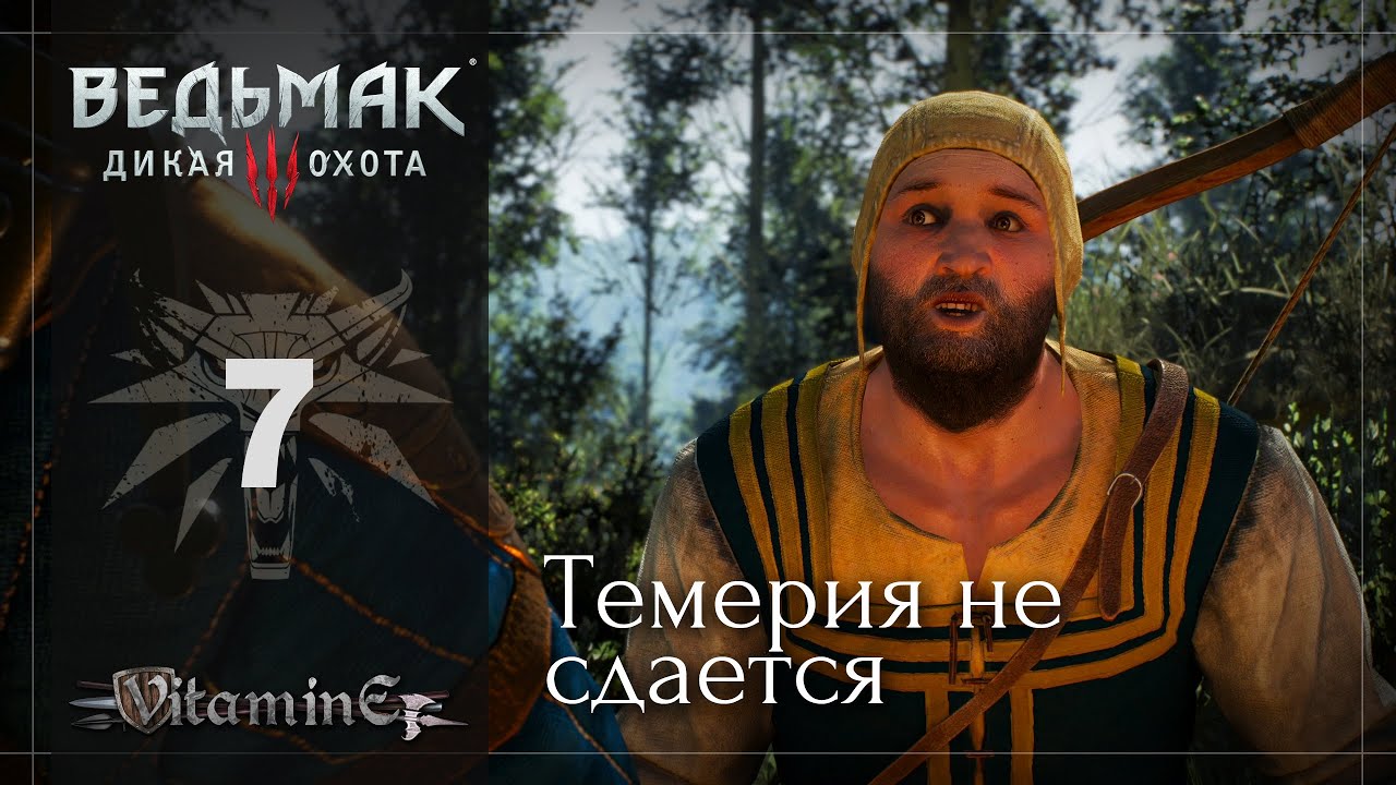 Темерские партизаны - Ведьмак 3: Дикая Охота - The Witcher 3 - Прохождение - #7
