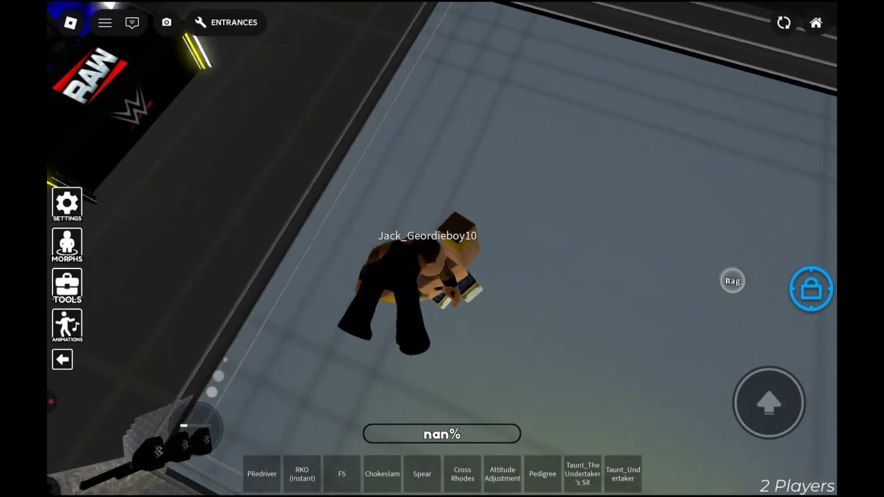 Playing WWE with my friend 
