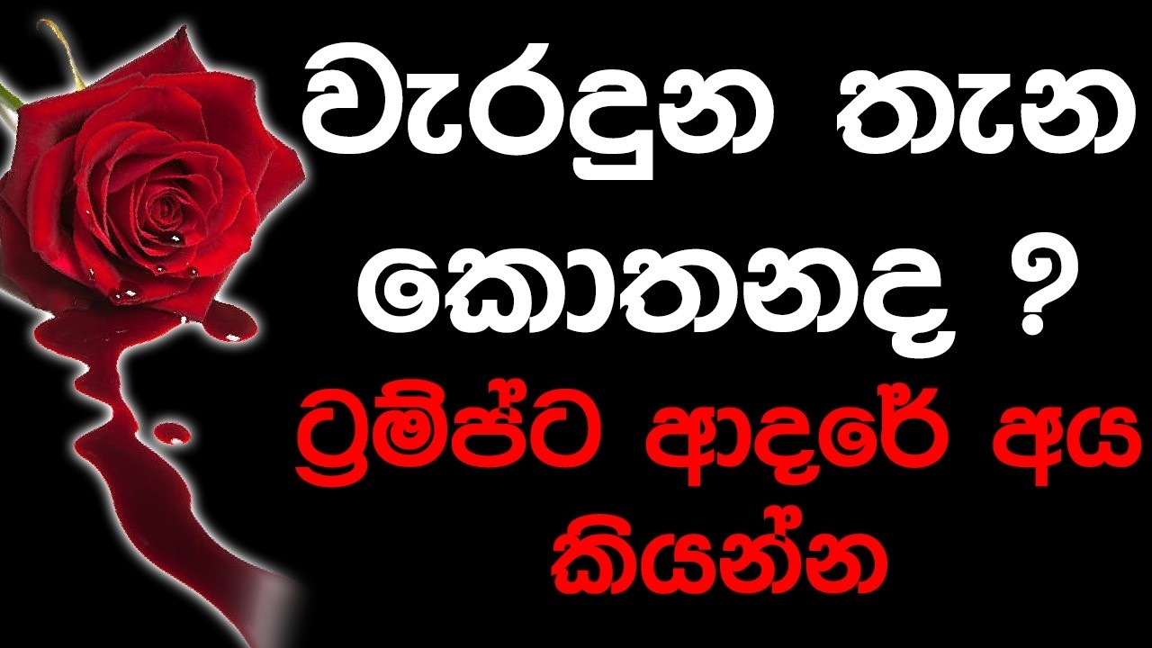 වැරදුන තැන කොතනද? ට්‍රම්ප්ට ආදරේ අය කියන්න