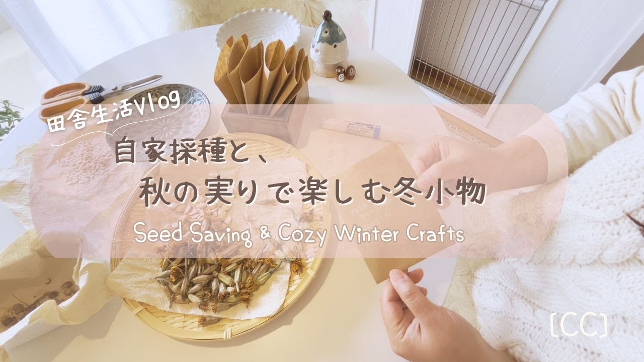 はじめての自家採種と秋の実りで作る冬の手作り小物｜どんぐり・松ぼっくり・ピーナッツの簡単ハンドメイド