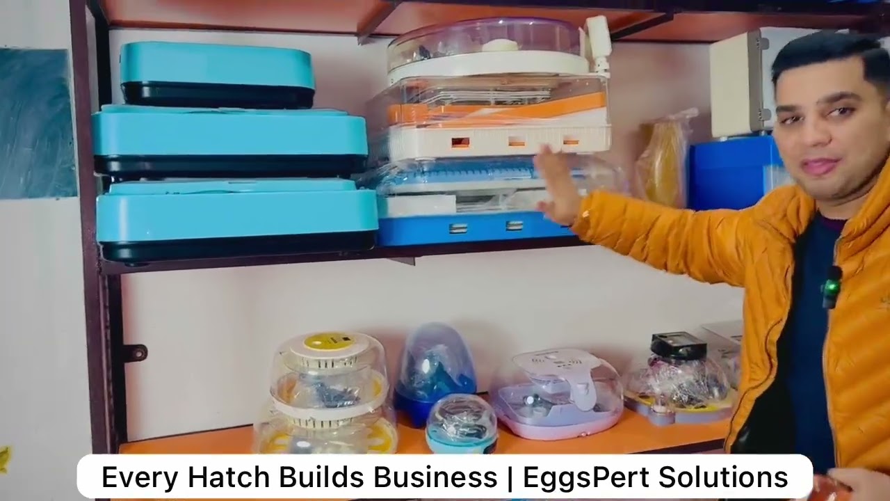 Every Hatch, One Step Toward a Successful Farming Business | @EggsPert_Solutions 03004444911