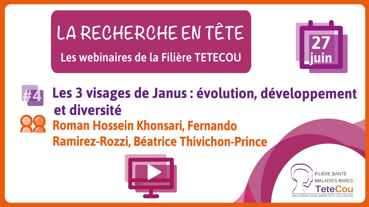 Webinaire  Recherche #4 -  Les 3 visages de Janus : évolution, développement et diversité