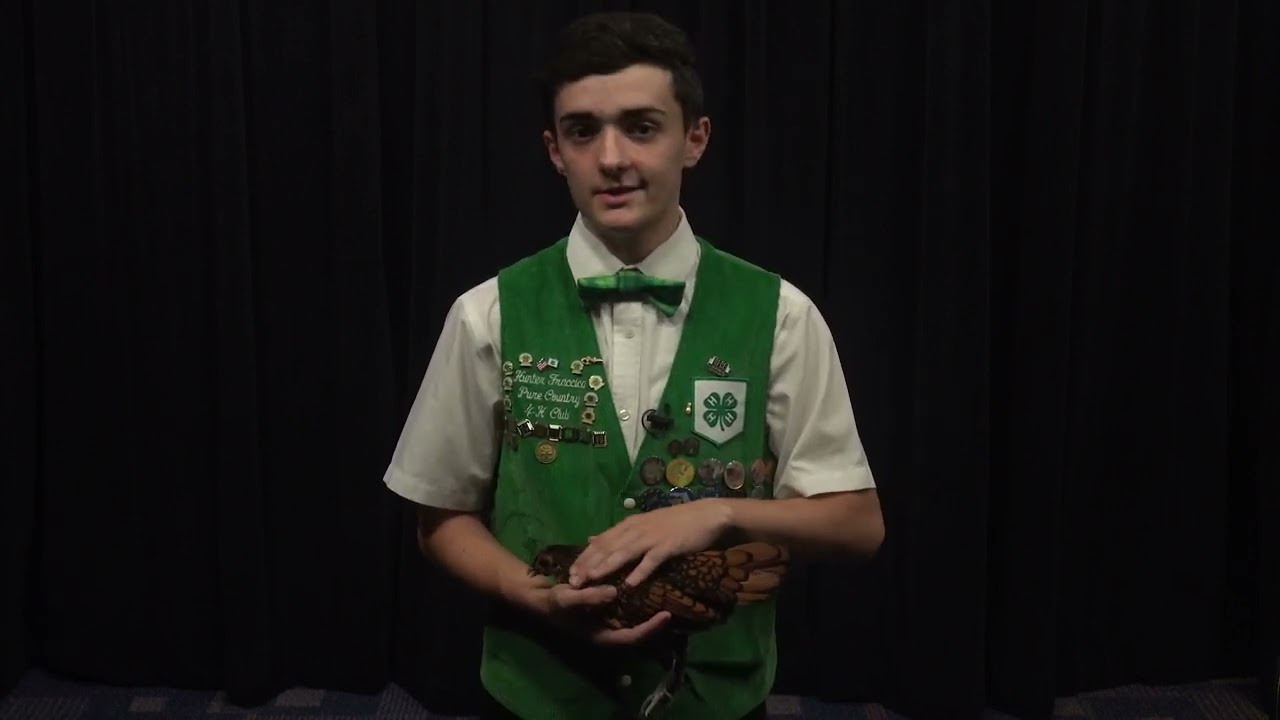 4-H Youth Poultry Showmanship