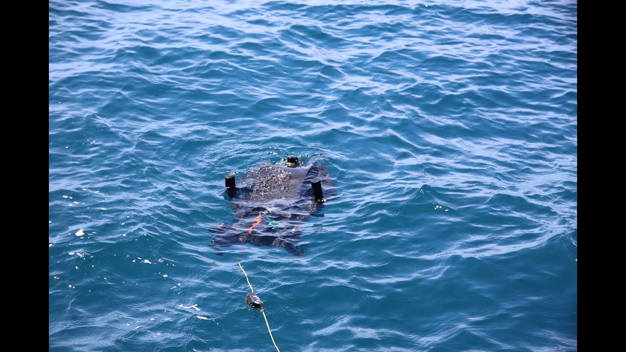 INESC TEC | NetTAG project - Locating and gathering fishing nets