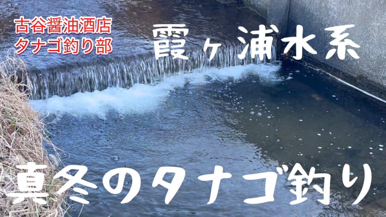 真冬のタナゴ釣り（霞ヶ浦水系）