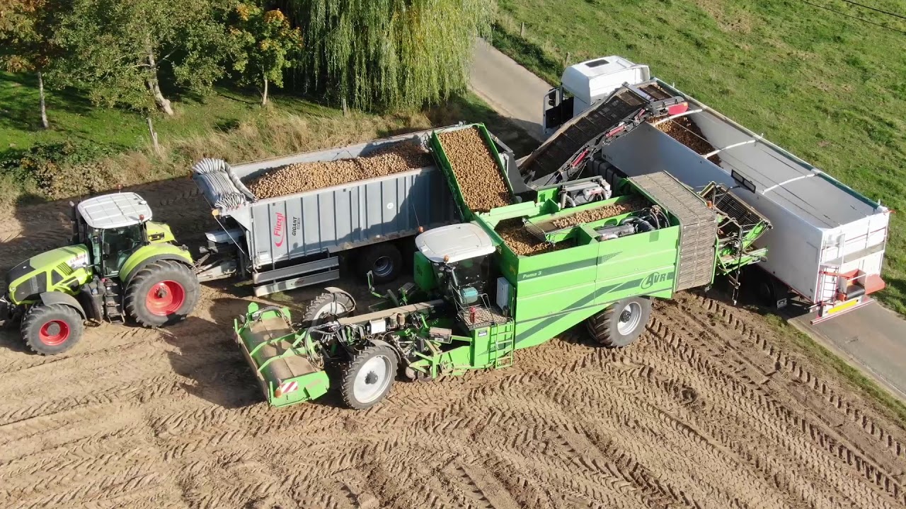 Fliegl ASW Gigant with Pomover - Hof Te Kattem