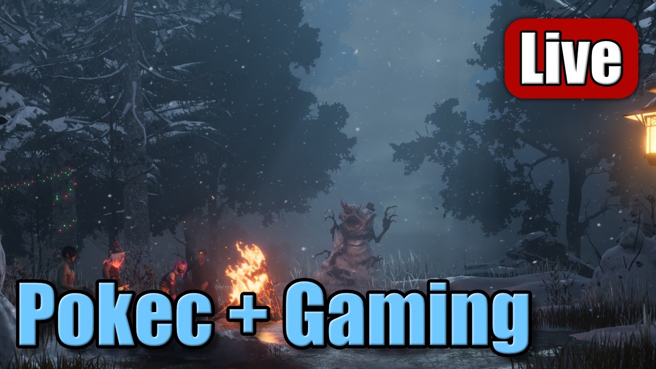 Pokec + Gaming (R6, WuWa, NHL a Další)