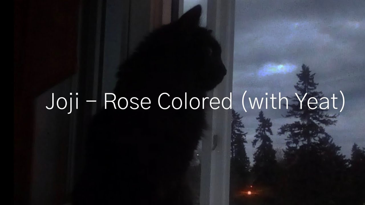 Joji - Rose Colored (with Yeat) 가사/해석