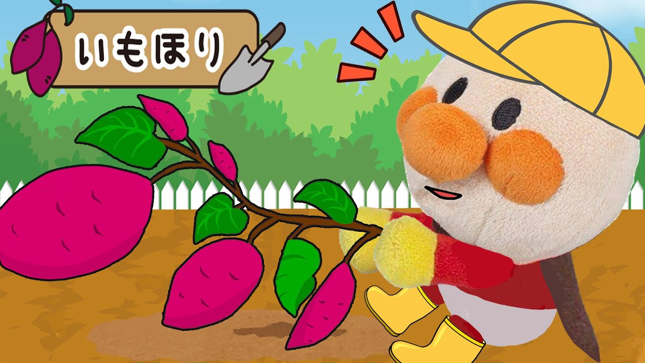 お芋ほりに挑戦！さつまいもを食べよう！秋の美味しい食べ物！アンパンマンアニメ　anpanman animation