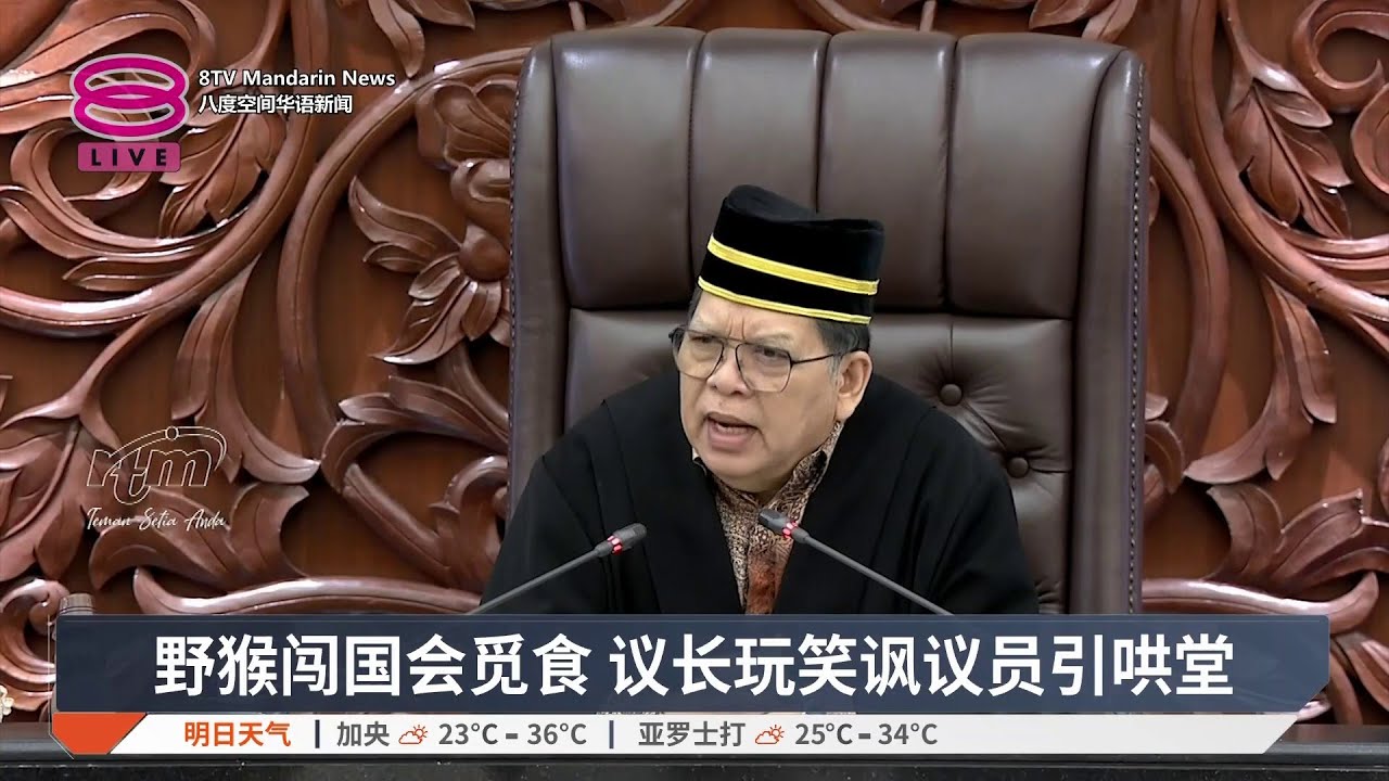 野猴闯国会觅食 议长玩笑讽议员引哄堂【2026.02.12 八度空间华语新闻】