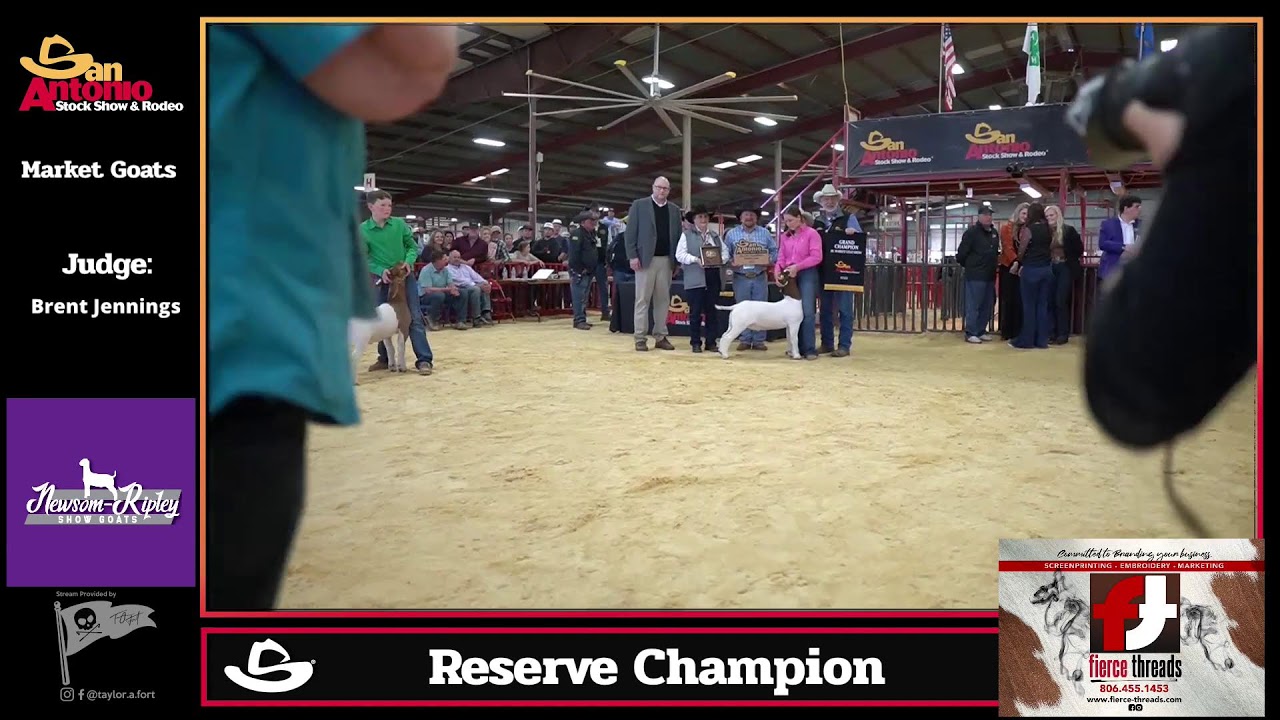 San Antonio 2022 Market Goat Show