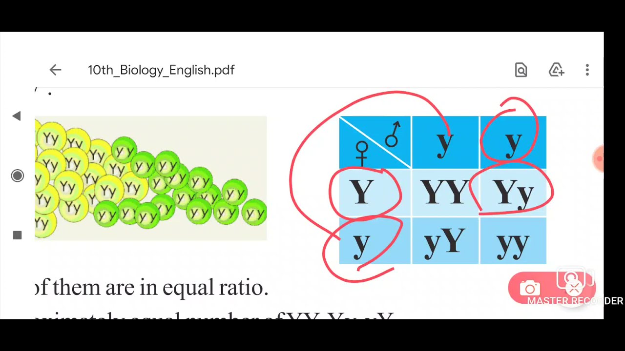 (in telugu) class 10 Bio 