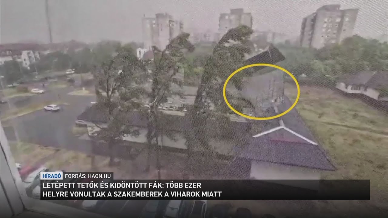 Letépett tetők és kidöntött fák