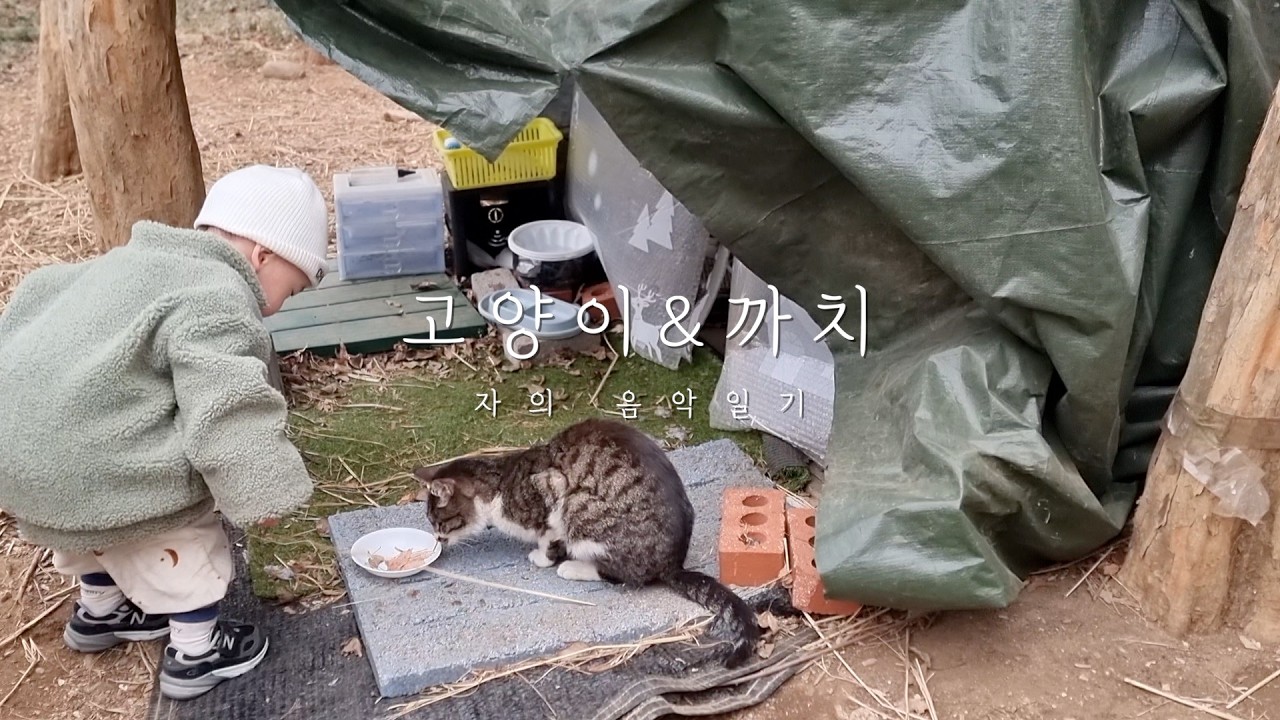고양이&까치 (Cats and Magpies)