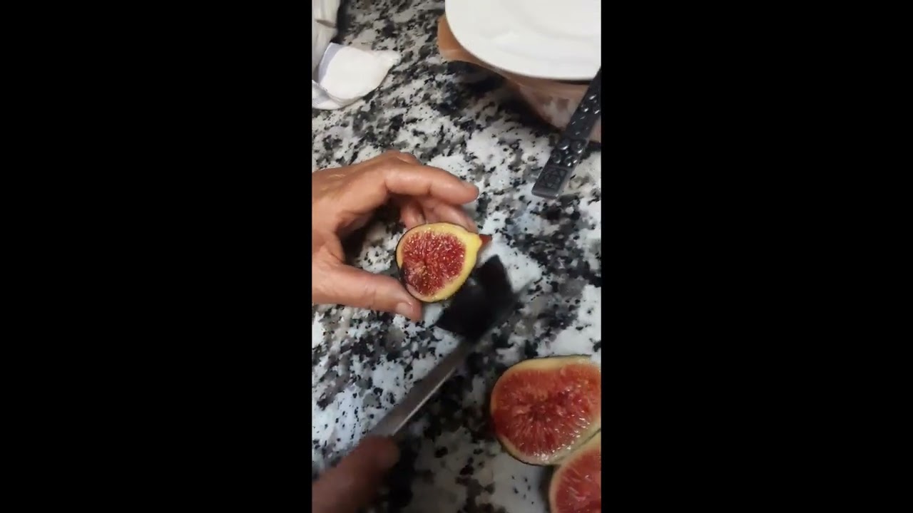Previous season Figs
