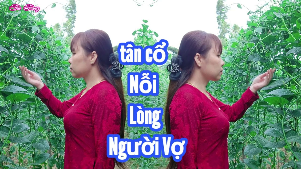 Tân cổ Nỗi Lòng Người Vợ /sáng tác Tiểu Ly Ly /Nguyễn Trang trình bày