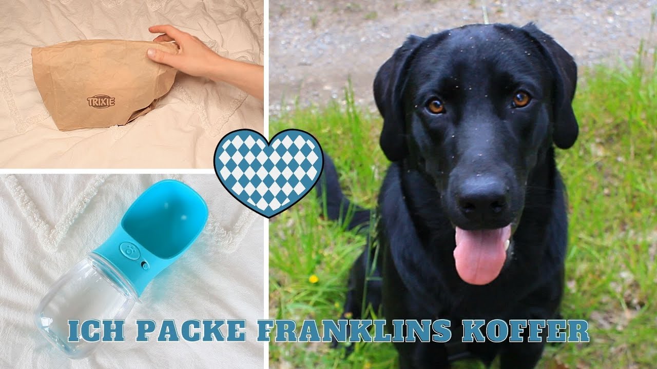 Kofferpacken für einen Wanderurlaub mit Hund