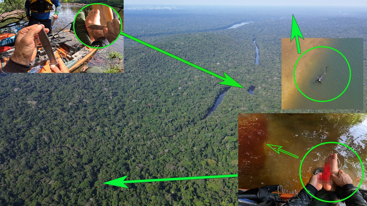 Jornada de 3 dias na selva, era pra ser simples mas o pior aconteceu, e vivos uma criatura na agua!
