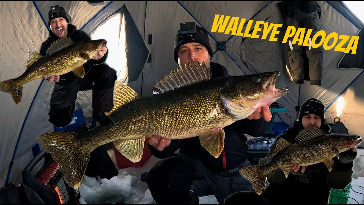 Georgian Bay Walleye Fishing
