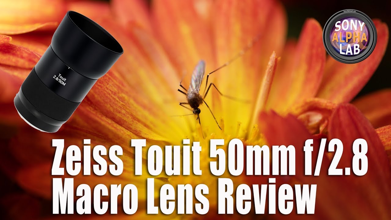 Zeiss Touit 50mm f/2.8 Macro Lens Review
