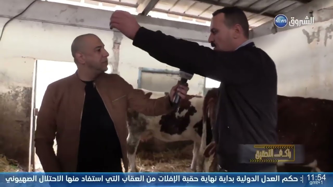#الفلاح بلدية جندل  ولاية عين الدفلى