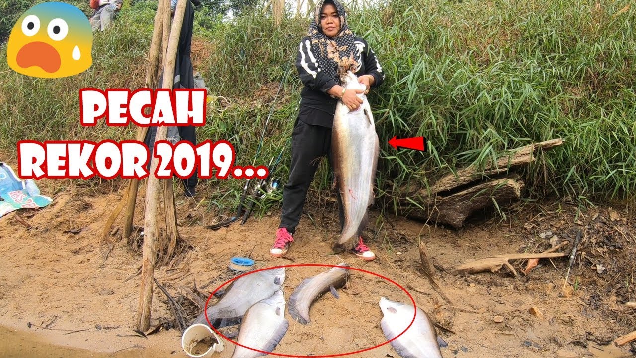Festival Ikan Monster 2019 #159