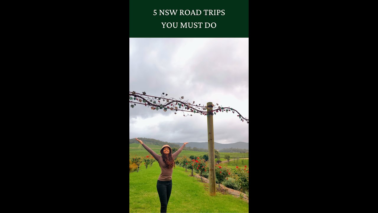 Top 5 NSW Road Trips - YOU MUST DO THIS SUMMER | #shorts #travel #sydneyroadtrips #australiaroadtrip