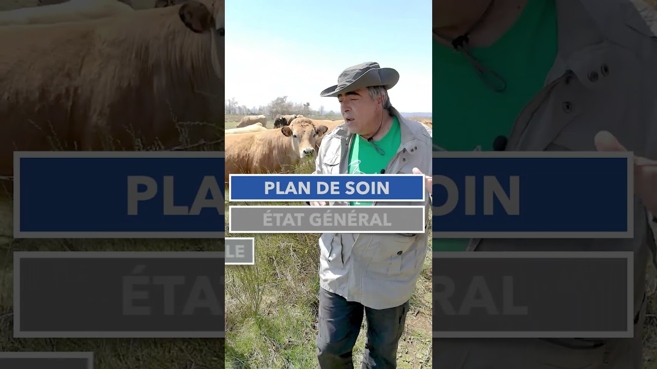 #DienChan les sch&eacute;mas de r&eacute;flexion