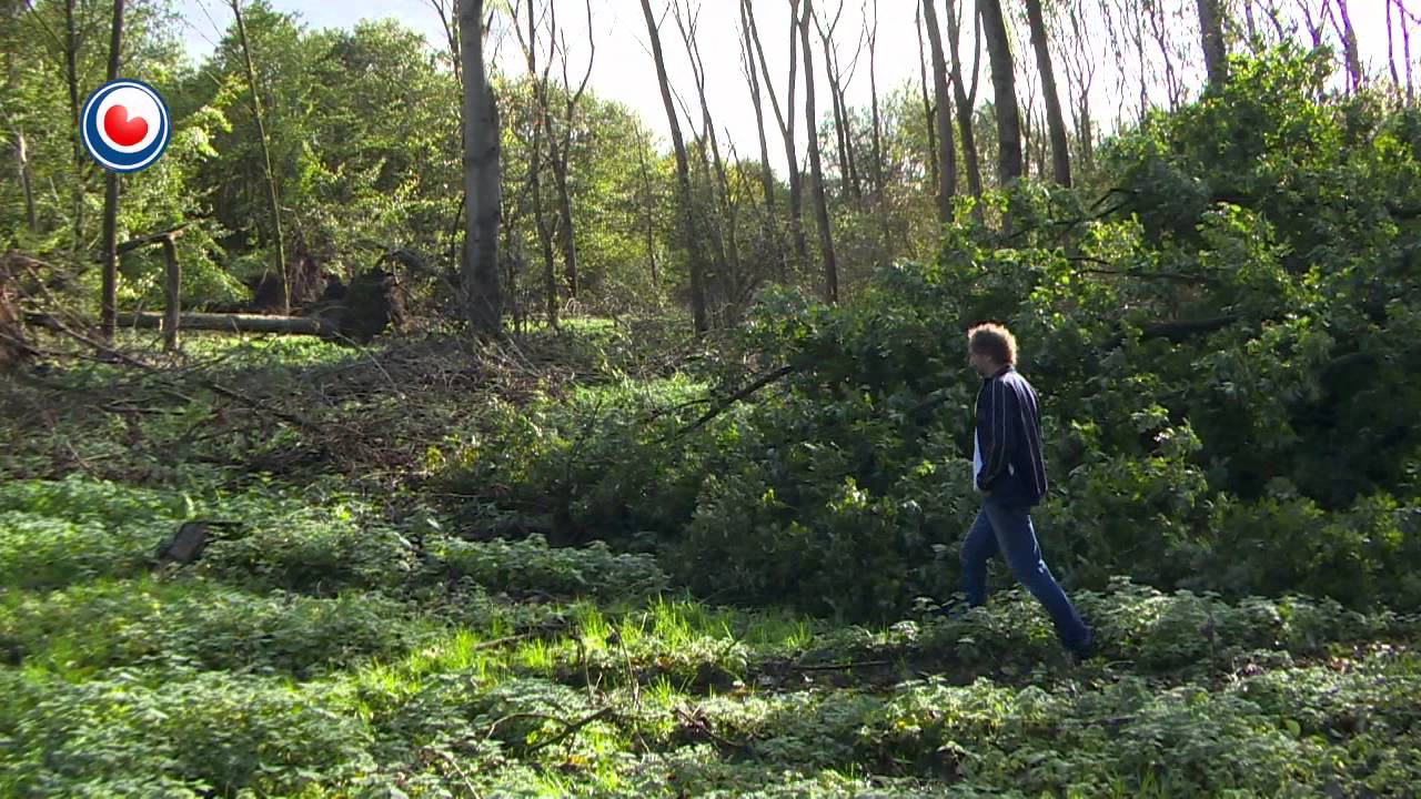 'Kom net yn bosk en park'