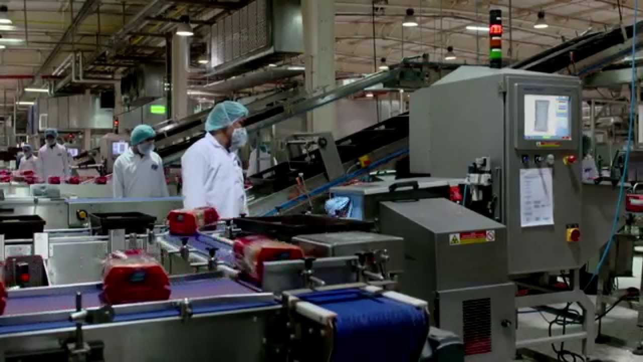 L'usine Documentary
