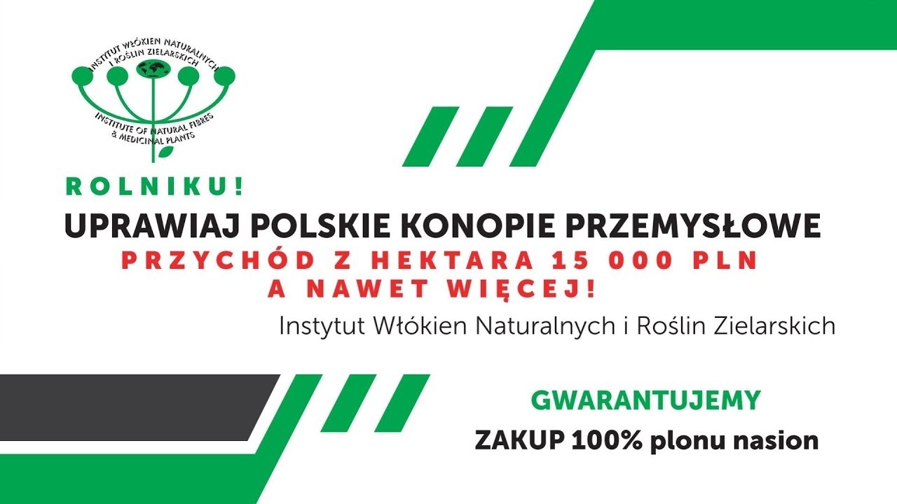 Program Konopny – szansa dla polskich rolników