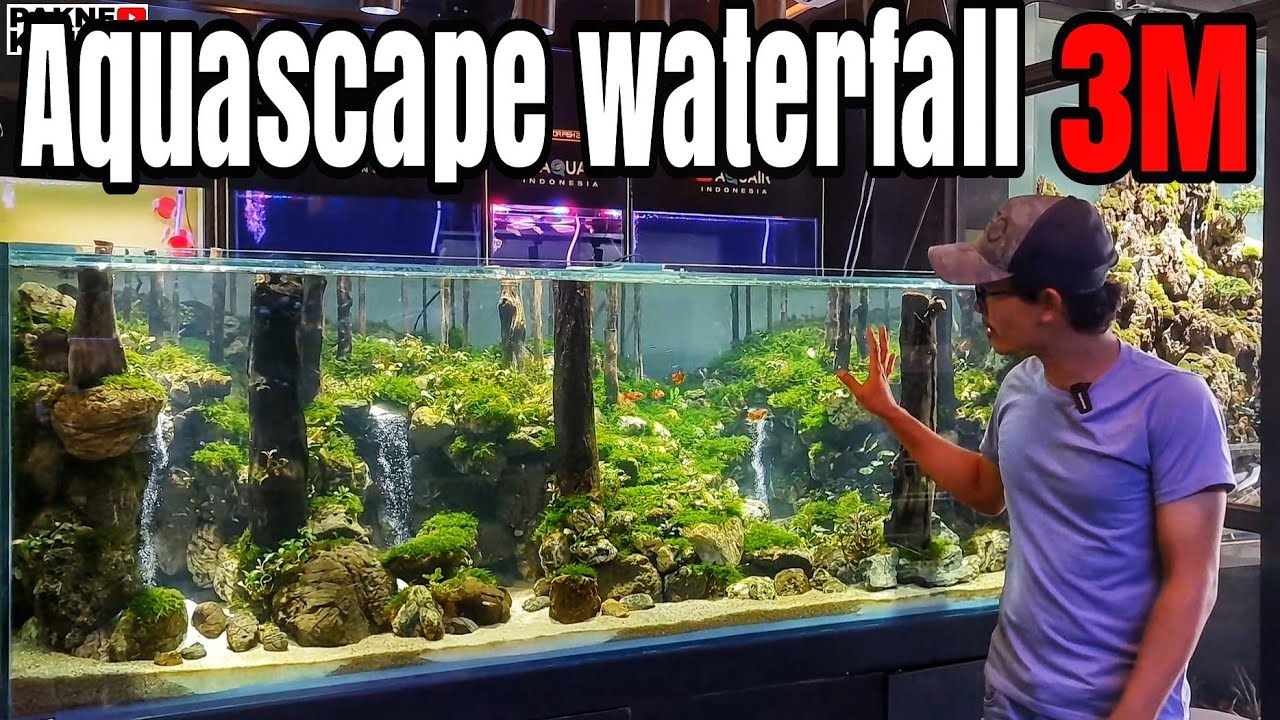 #350 Amazing,Aquariumnya gede gede rasanya pingen dibawa pulang!!!