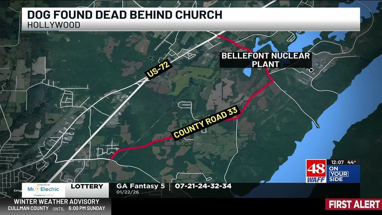 Officials are seeking information after a dog was found dead in Jackson County