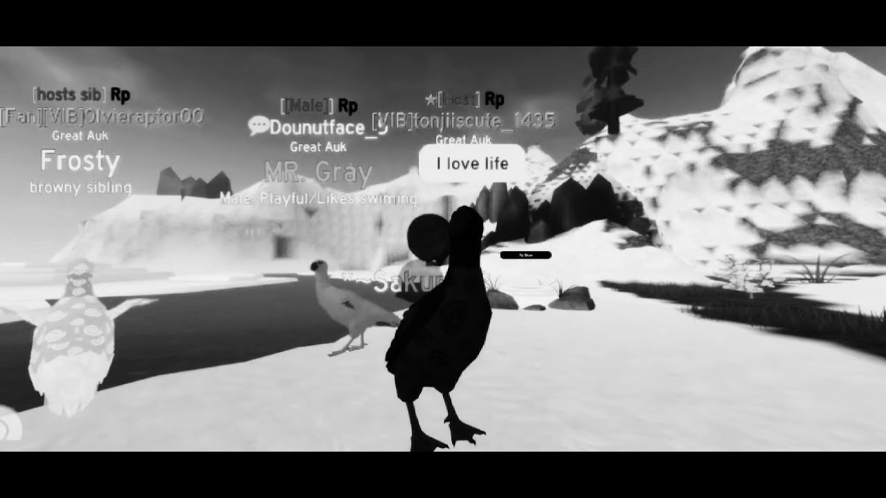 The great auk mirgrateion memory...