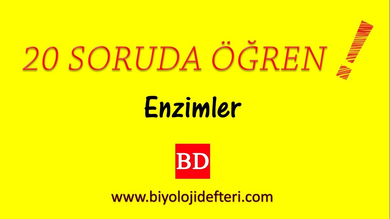 20 SORUDA ÖĞREN ( ENZİMLER#1 )