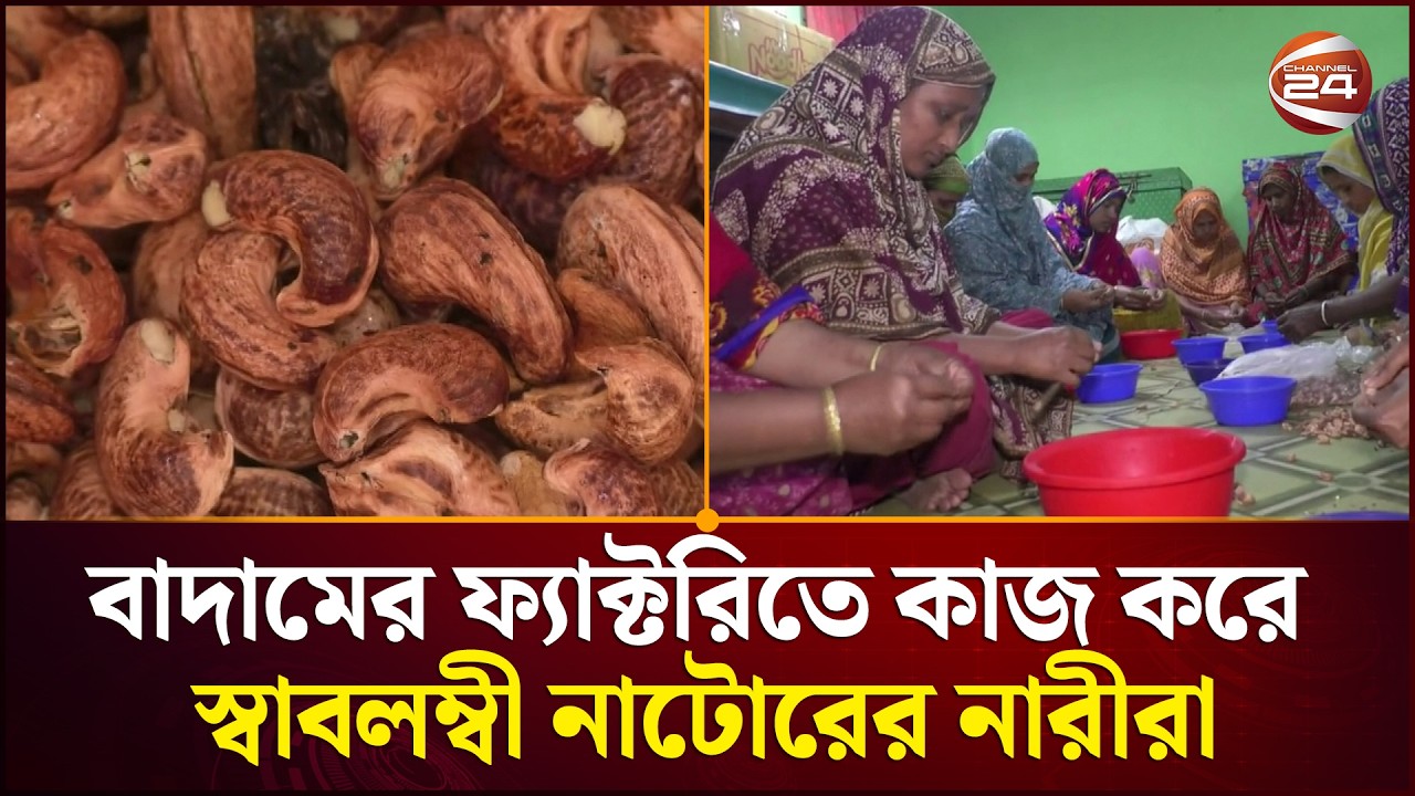 কাজু বাদাম ফ্যাক্টরিতে কাজ করে স্বাবলম্বী নাটোরের নারীরা | Natore News | Channel 24