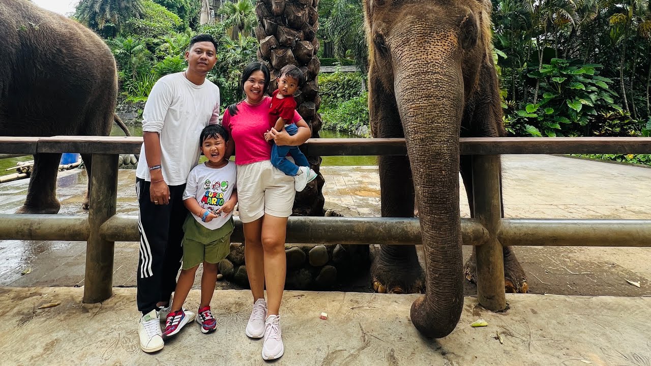 GLORY KASIH MAKAN RUSA DAN GAJAH DI BALI ZOO