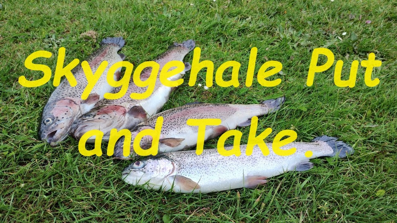 Skyggehale Put and Take - Afprøver Berkley Power Pupa.