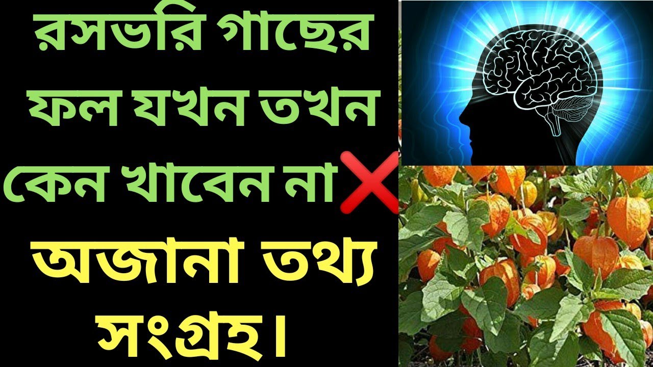 রসভরি গাছের ফল যখন তখন কেন খাবেন না❌অজানা তথ্য সংগ্রহ।