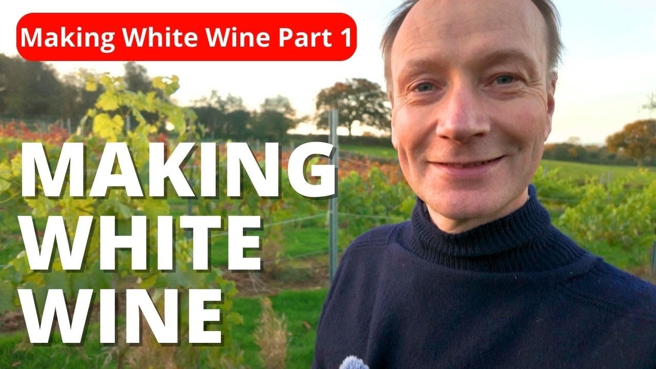 Making White Wine from a disastrous crop.  Should we replant our vines?
